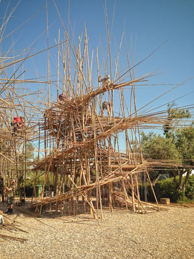 bambu-4