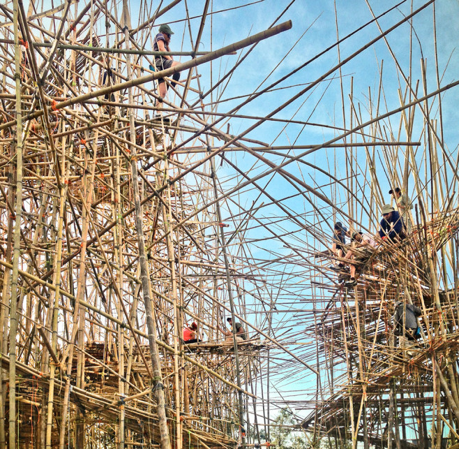 bambu-5