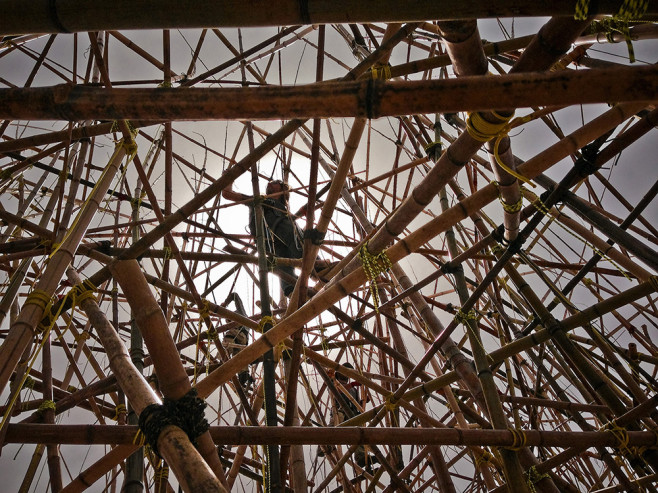 bambu-7