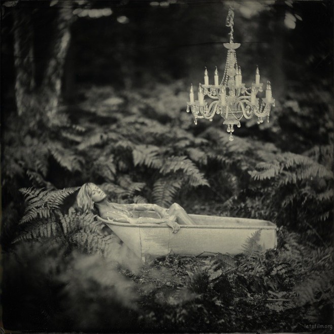 AlexTimmermans9