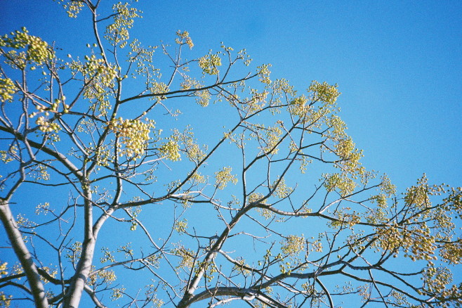 Burano-Helen-08