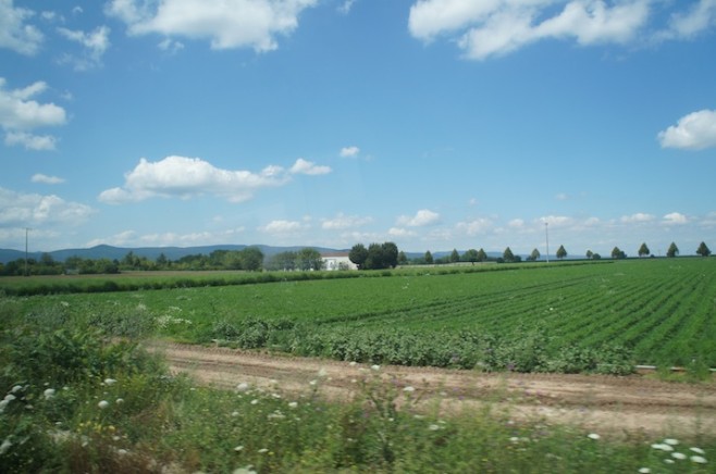 SONY DSC