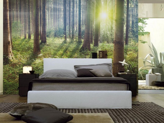 Sunset-in-the-Forest-Wall-Mural-by-PIXERS-650x487