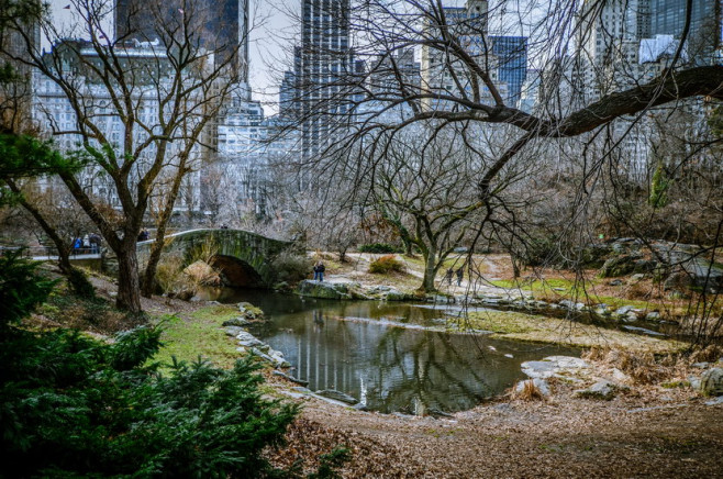 central_park
