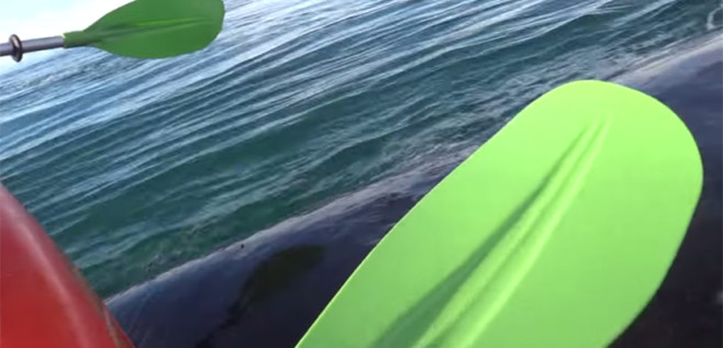 gopro