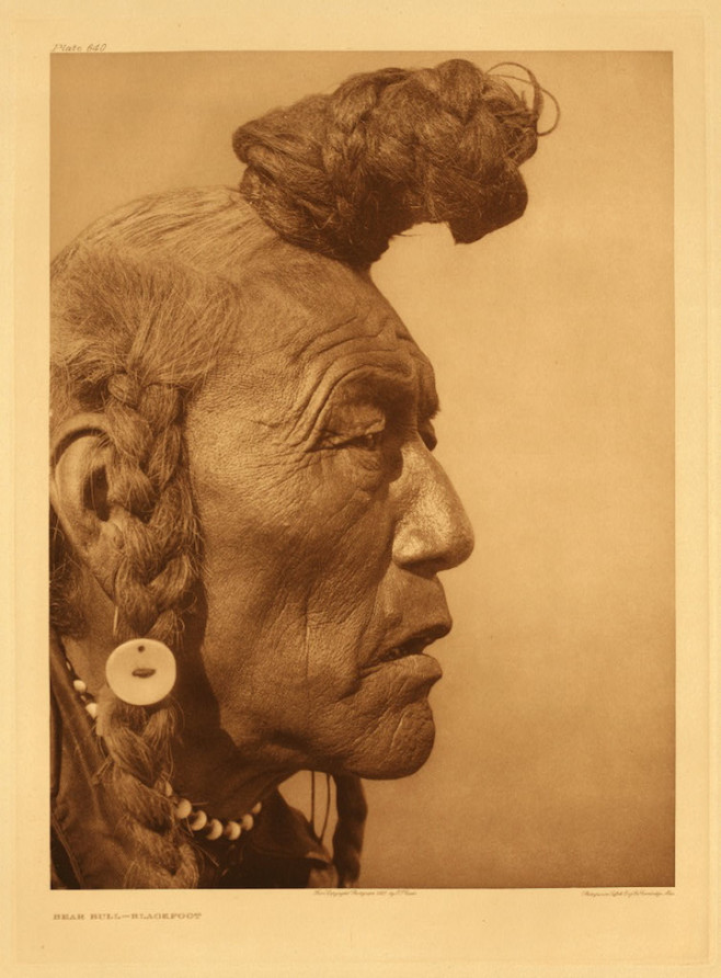 indian8