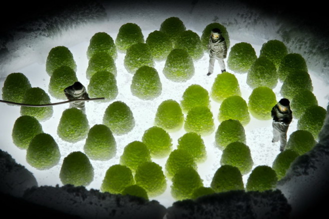 miniature07