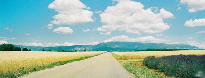 p03