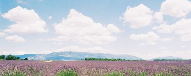 p04