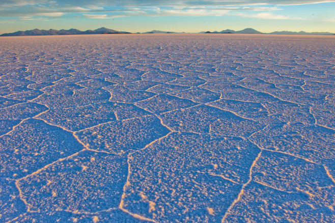 salt-of-the-earth