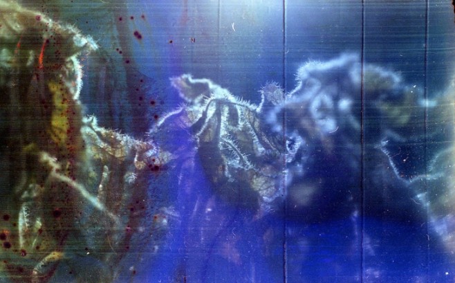 urine07