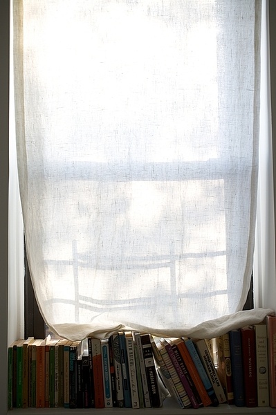 windowsill1