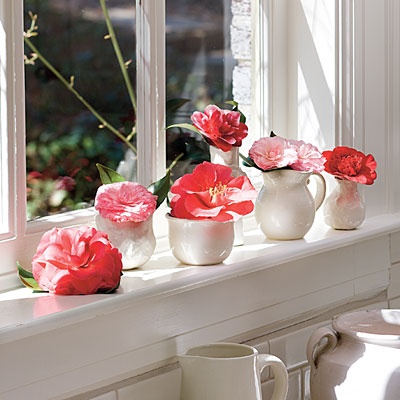 windowsill14