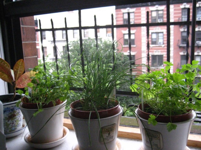 windowsill18-1024x768