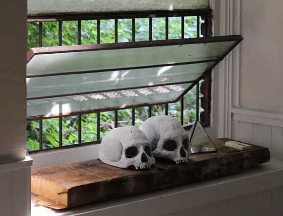 windowsill20