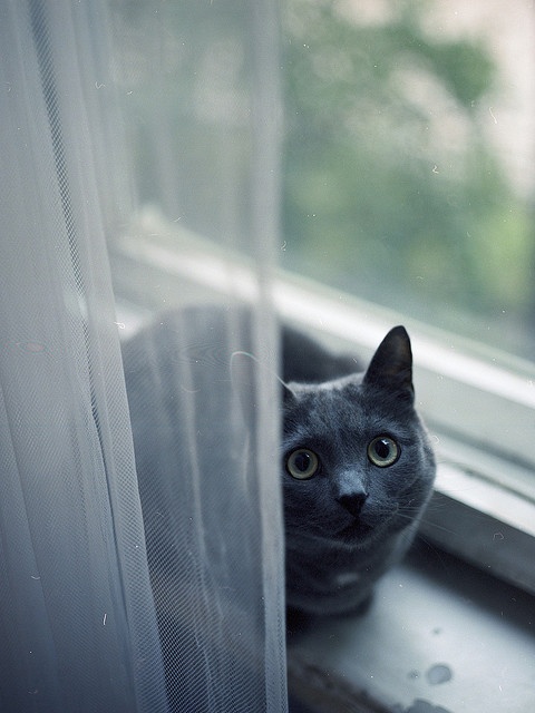 windowsill25