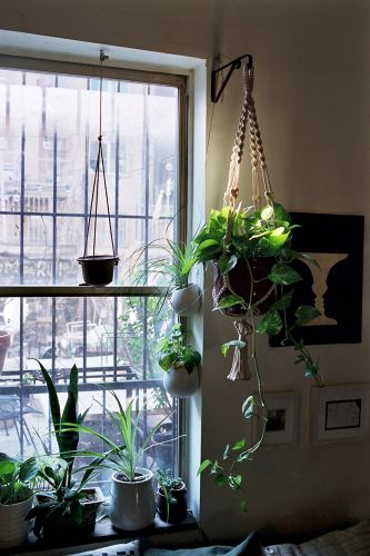 windowsill26