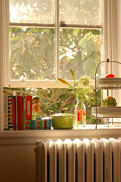 windowsill9
