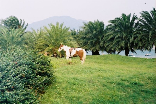 F1090021