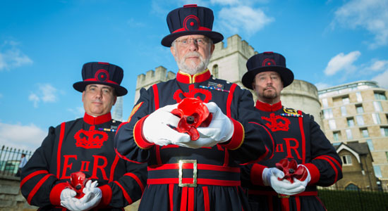 Yeoman-Warder-plants-first-poppy1_RLeaHairHRP