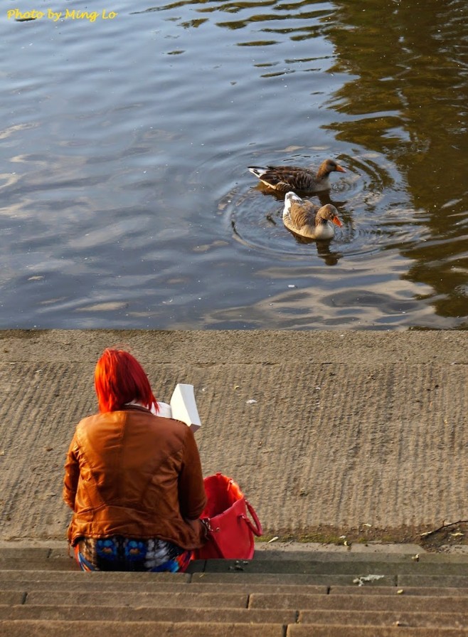York-16