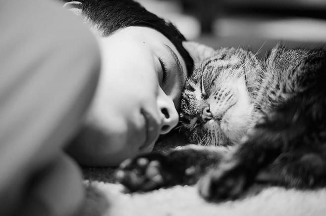 cat21-830x552
