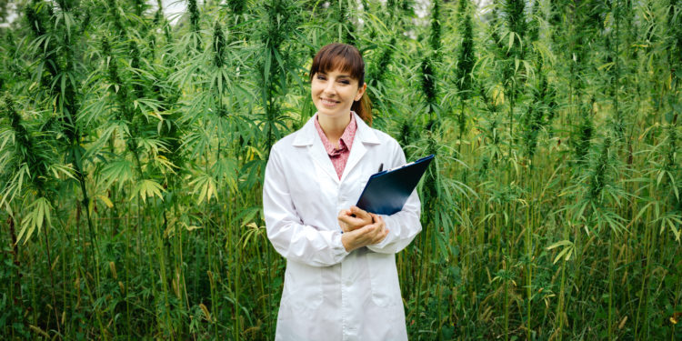 資料佐證大麻並不會造成癌症或生命安危