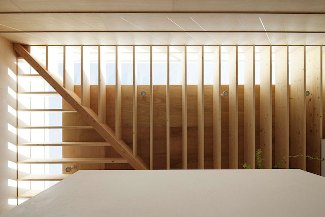 mastyle_051
