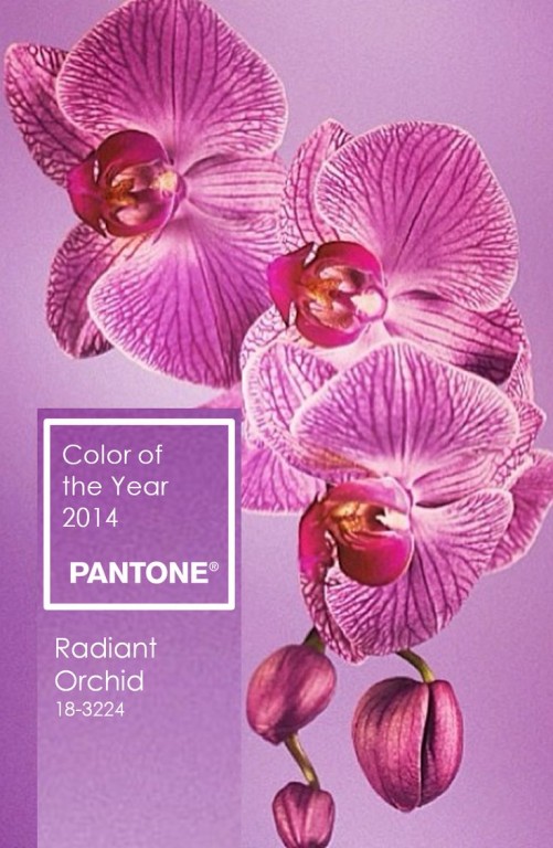 pantone-27-nature-501x768