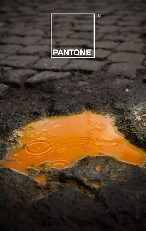 pantone-35-nature-488x768