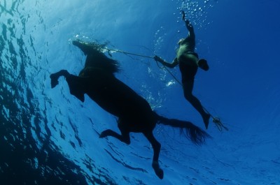 Horse Swimming, Malta
