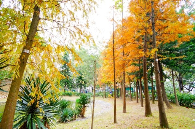chingyi05