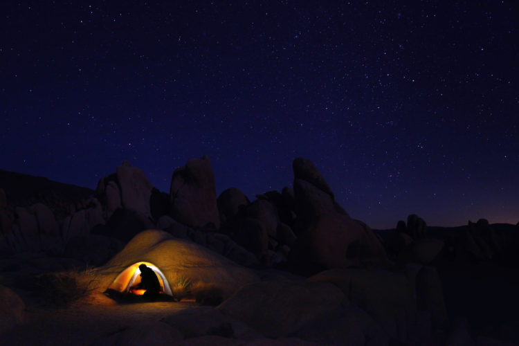 夜晚的 Joshua Tree 國家公園
