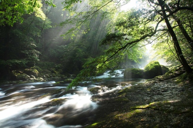 miyatake04