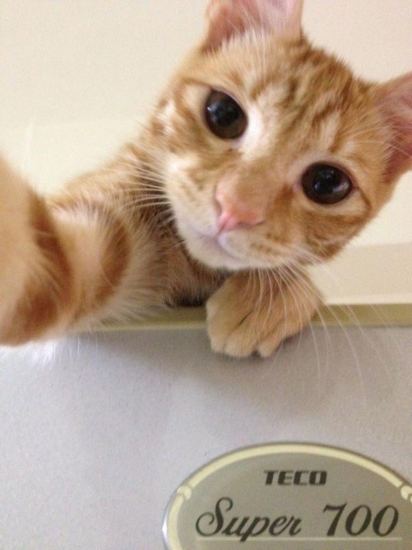 selfie02