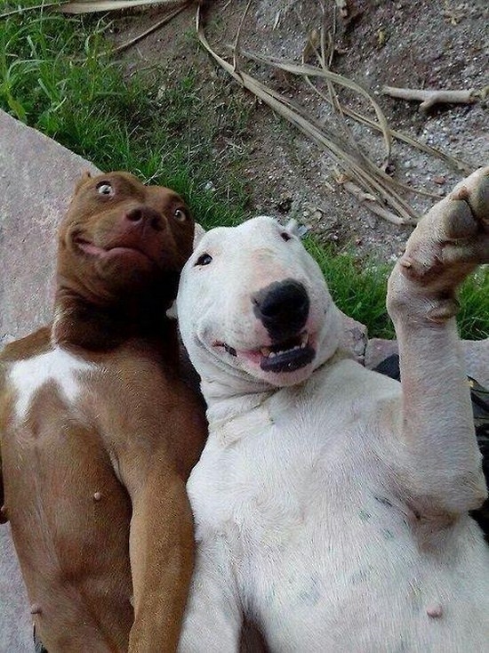 selfie04