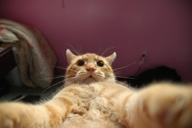 selfie06