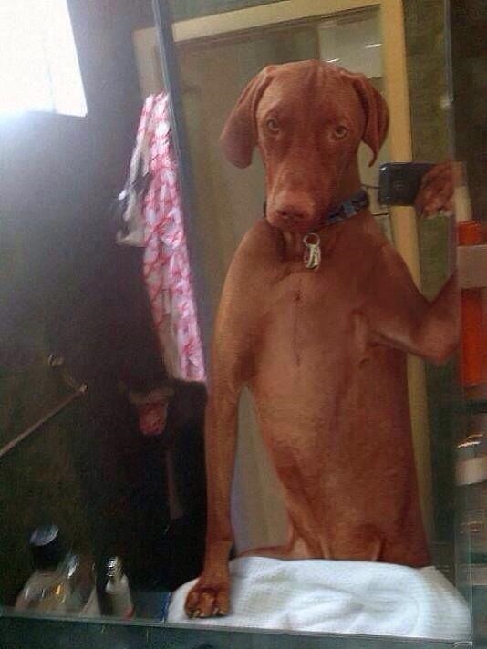 selfie07