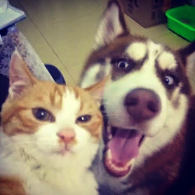 selfie15
