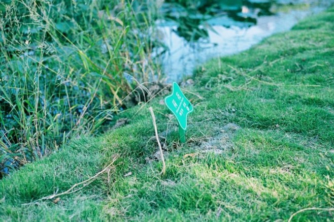0000022
