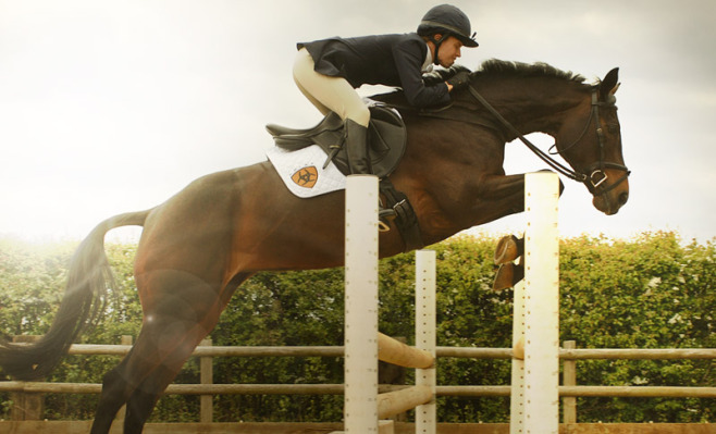 Ariat-Jumping