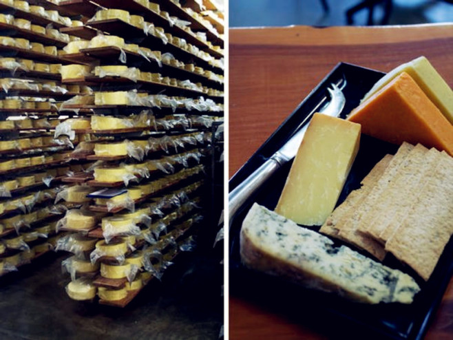 Cheese-Factory_副本