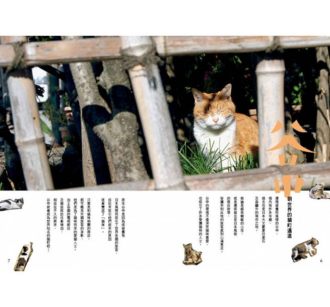 getImage (1)