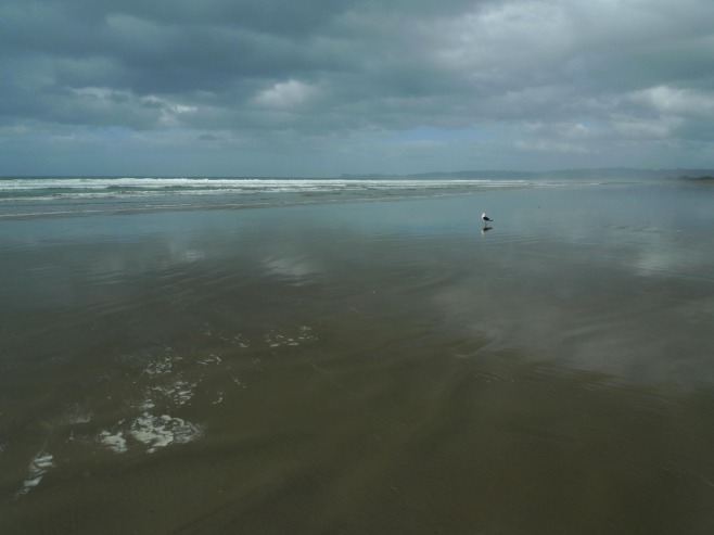 s a20 20140417 P1180333