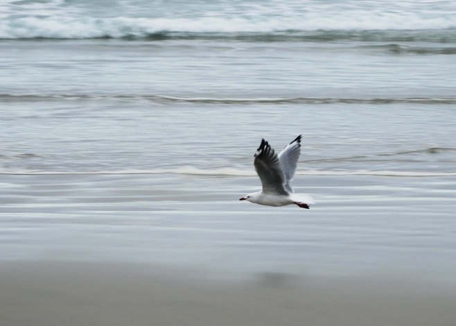 s a21 20140412 DSC_0513