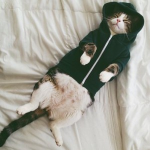 tumblr_niut7rxCtY1stl1bjo1_500