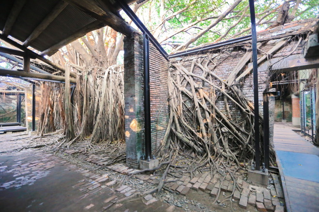 安平樹屋_2