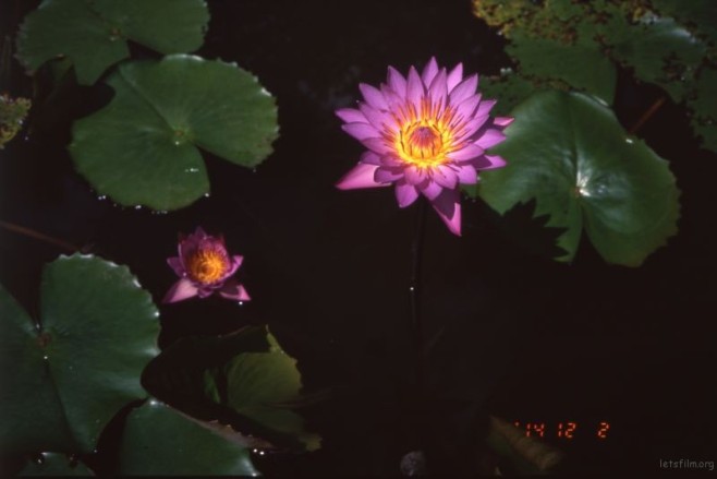 jpg14