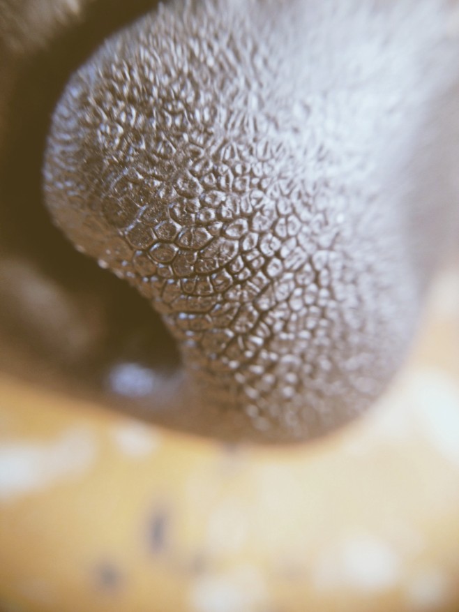 Processed with Rookie