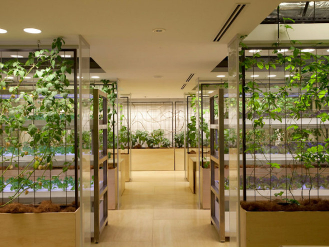 Pasona-HQ-Kono-Designs-11